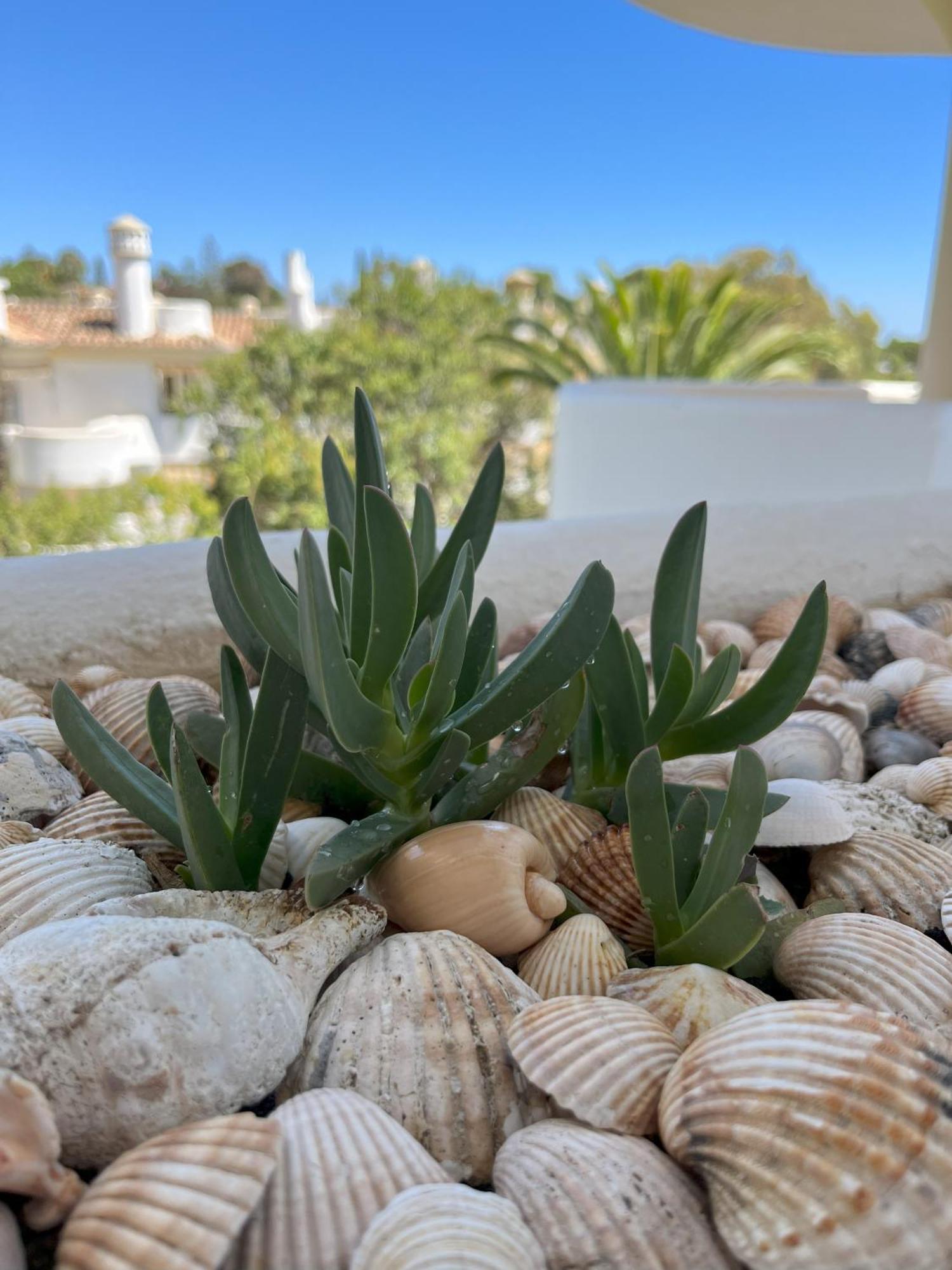 Casadeleon - Costadelsol Vacations & Remote Work Sitio de Calahonda Екстериор снимка