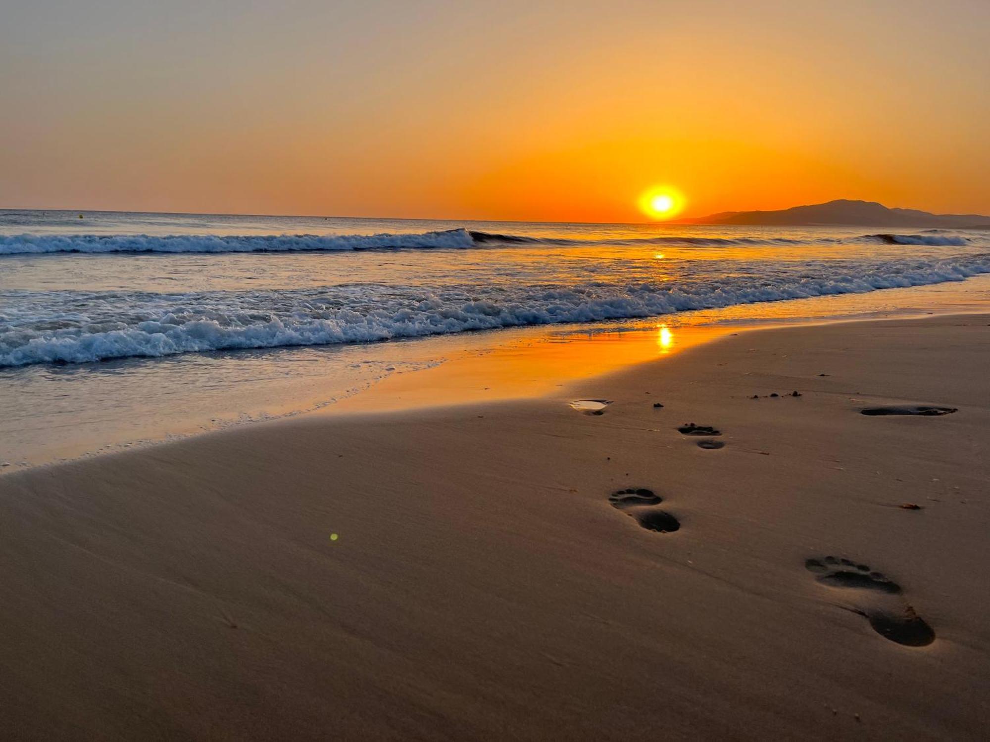 Casadeleon - Costadelsol Vacations & Remote Work Sitio de Calahonda Екстериор снимка